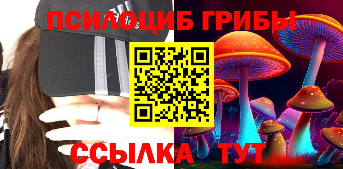 Псилоцибиновые грибы MAGIC MUSHROOMS Выборг