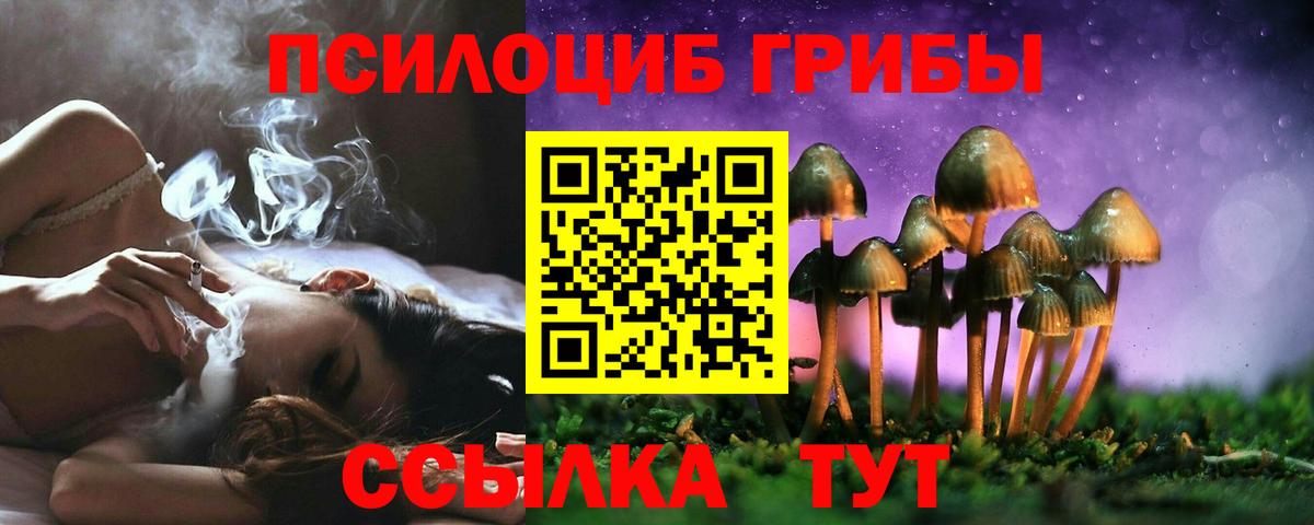 Выборг  Галлюциногенные грибы Psilocybine cubensis  Вход с VPN 